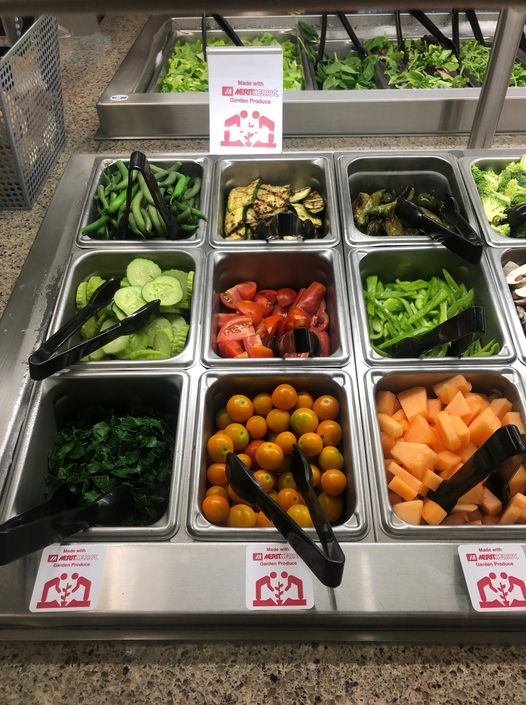 优秀农场到自助餐厅计划