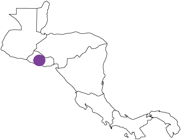 萨尔瓦多-国际生命之礼和国际保健-慈善事业