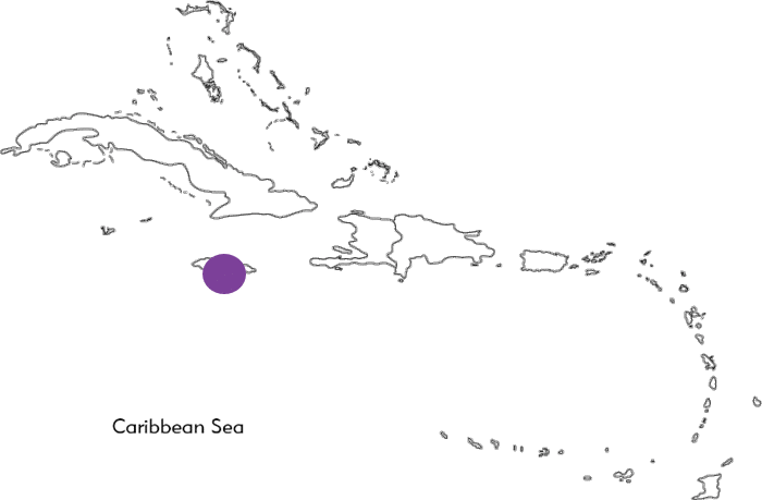 生命之桥基金会-牙买加-慈善事业