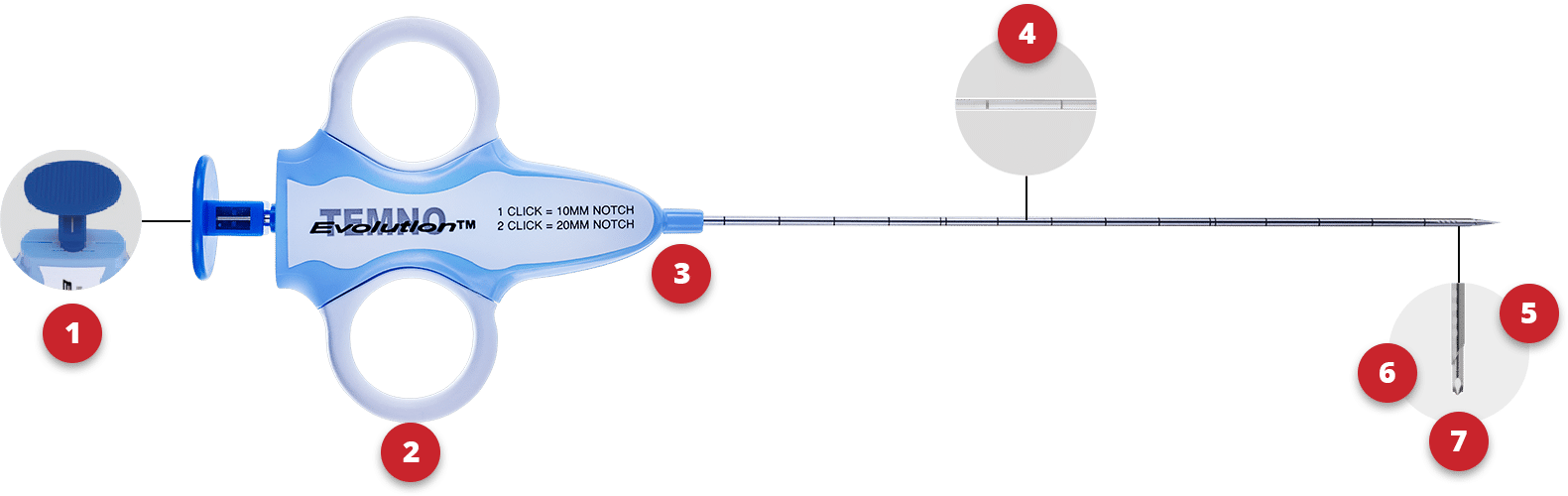 Temno Evolution con callout di funzionalità