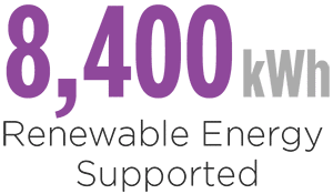 可持续发展-支持可再生能源