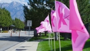 2019年乳腺癌宣传月- Merit支持BCAM -与BreastCancer.org合作