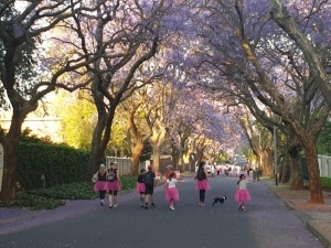 南非乳腺癌步行