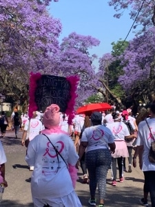 南非乳腺癌行走