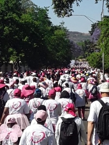 南非乳腺癌步行