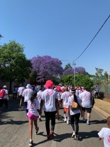 南非乳腺癌步行