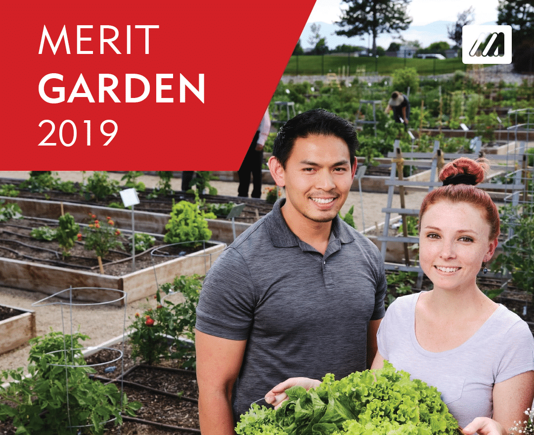 Leistungen von Merit Medical Garden 2019 - Mitarbeitererfahrung
