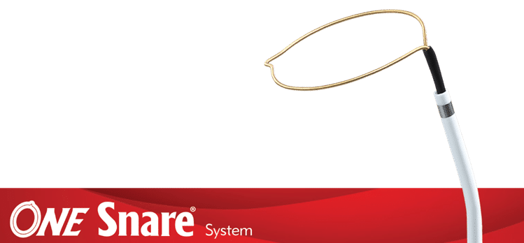 一个Snare系统 - 提供LV铅交付的选项，在挑战解剖学中 -  Merit Medical
