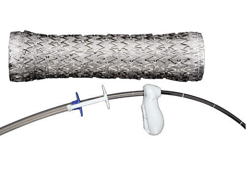 AERO DV气管支气管支架从优点医疗内镜
