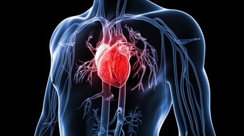 心脏病——男人的健康
