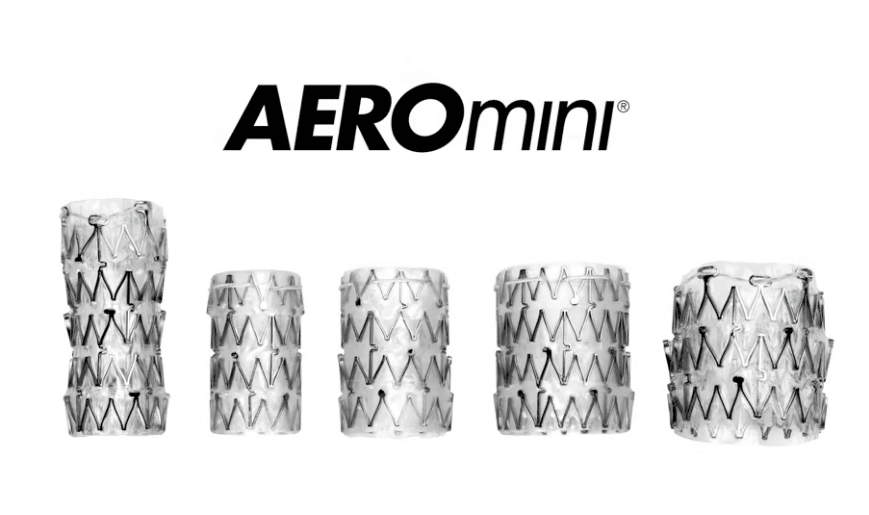 AEROMINI®气管支气管的支架