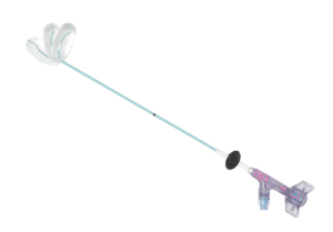 环球飞艇世外桃源Articulación