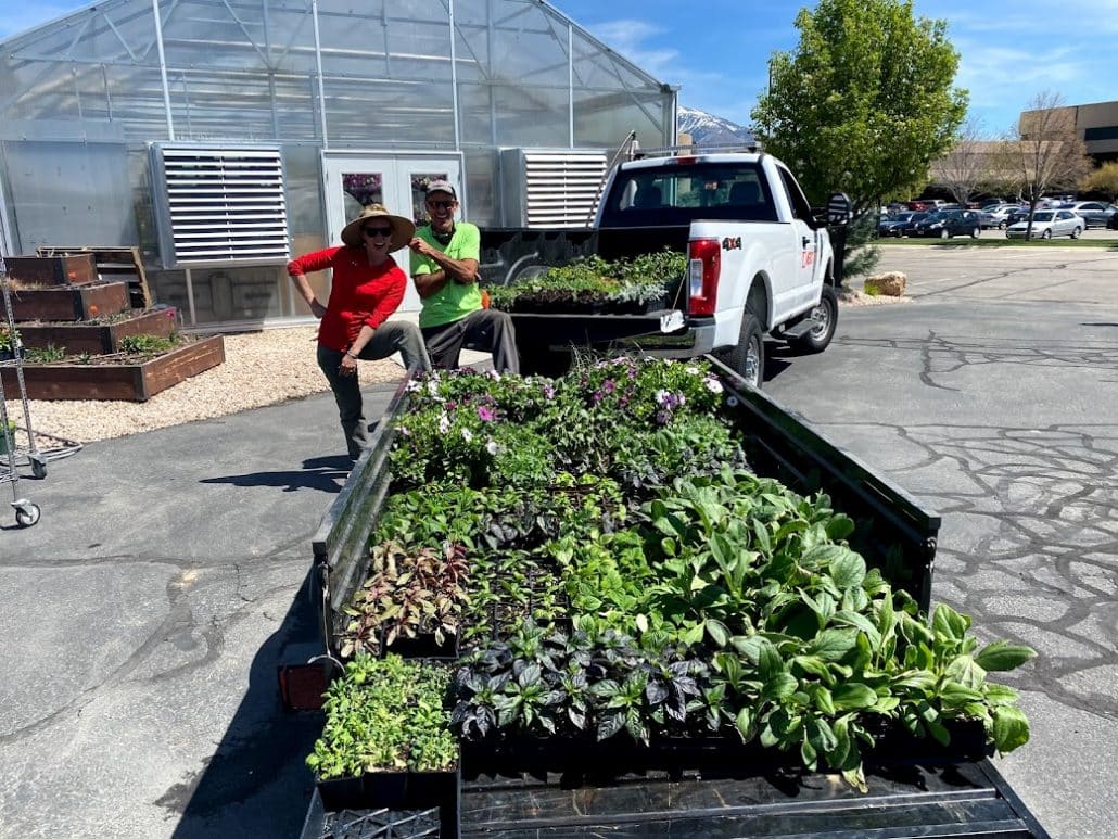 图为一辆卡车拉着一辆拖车，拖车上的植物床准备在犹他州南约旦的Merit校区种植