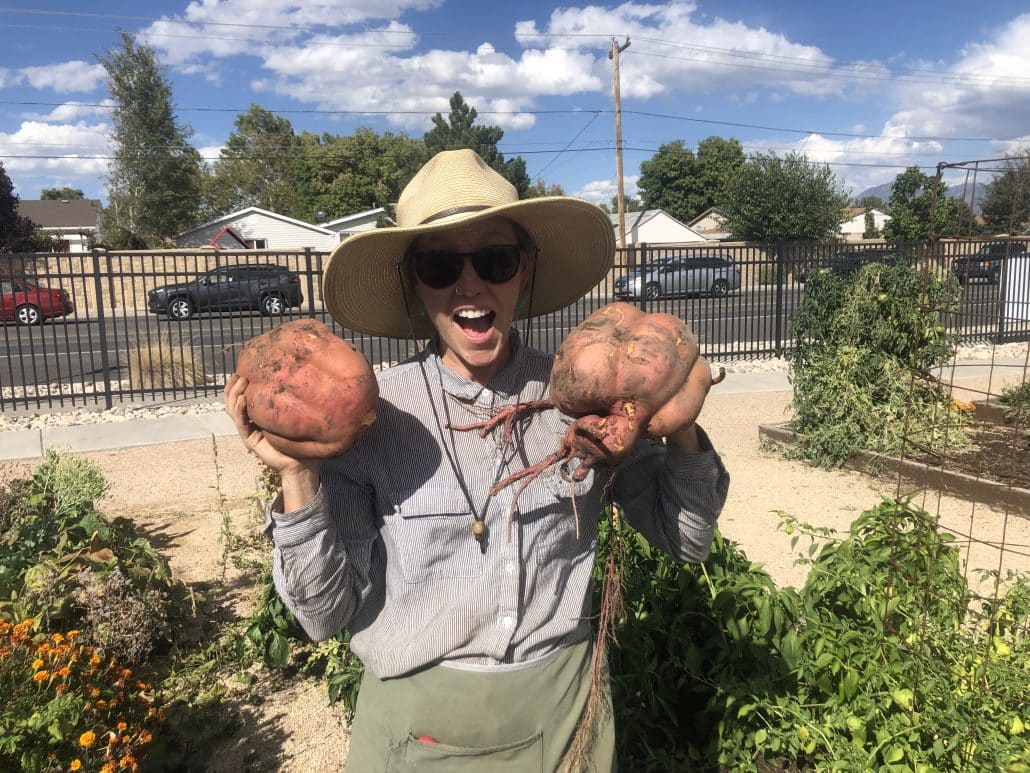 图片显示，Merit Gardens的负责人劳拉·弗劳尔(Laura Flower)手里拿着两个大红薯